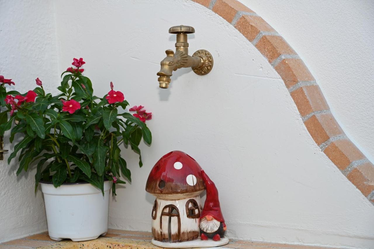 Anthias Beach Home أرخانجلوس المظهر الخارجي الصورة