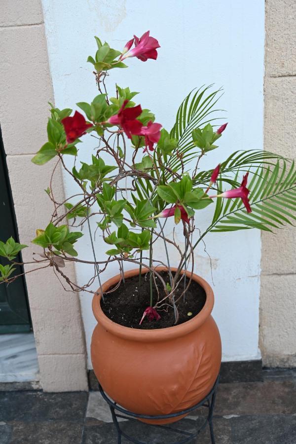 Anthias Beach Home أرخانجلوس المظهر الخارجي الصورة